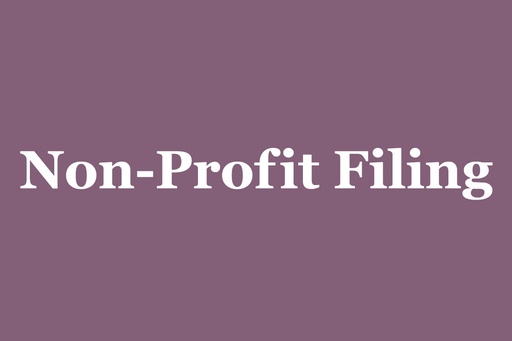 Non-Profit Filing - All States (Except PA, NJ, DE)